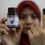 Will elections in Malaysia be free or fair?