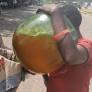 Benin's Booming Illicit Fuel Trade Calls for New Responses
