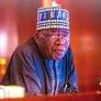 Fani-Kayode, Omokri, others await fate as Tinubu posts Oke, Are, Dalhatu, Suleiman as ambassadors