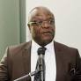 Adeniyi: Diamond pearls for a public intellectual