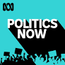 Could 'freelancers' decide the Liberals' future?
