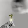 When Therapy Didn’t Work, I Turned to an Illegal Drug