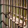 Parole officer who worked multiple 16-hour shifts at Attica Cor­rec­tional Facility speaks out