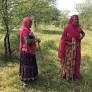 Villagers in India's Rajasthan reclaim common land with maps, petitions