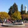 Students, unions, advocates at UC Berkeley urge individuals to ‘Vote Yes on 50’