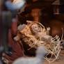 What does it mean to have Christian faith? Look at Christmas for the answer