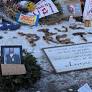 STEPHEN COHEN: When your ox is gored…