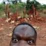 A Wound in the Heart of Africa (Published 2009)