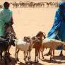 Sudan: genocide in Darfur