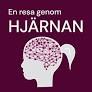 A journey through the brain 2024