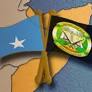 Somalia: The Case for Negotiating with al-Shabaab