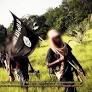 Shabaab tries to assassinate US diplomat