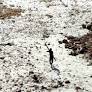 The Sentinelese: Who Are The Most Isolated Uncontacted Tribe On Earth?