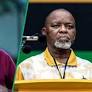 Mbuyiseni Ndlozi takes swipe at Gwede Mantashe’s viral cake antics, SA reacts: "Stealing as always"