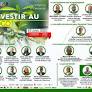 Investing in Togo: the Togolese diaspora is getting in order