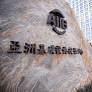 A Decade of Questionable Governance at the Asian Infrastructure Investment Bank