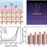 Cation-Deficient Perovskites Greatly Enhance the Electrocatalytic Activity for Oxygen Reduction Reaction