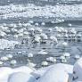 Rare, extreme snowfall hits Shandong cities
