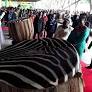 If the elections aren’t free and fair, Tanzania will be a one-party state