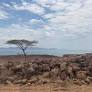 East African Rift study uncovers why breaking up is hard for some continents