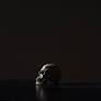 ‘Mortality’: A Deathbed Dispatch
