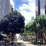 Take a walk in downtown Joburg and see the impossible made possible