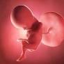 Bulawayo mayor warns abortion law amendments could harm families and children