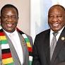 Zimbabwe: South Africa Should Press Zimbabwe to End Repression - Watchdog