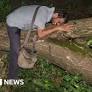 Aarey protests: Supreme Court steps in to save Mumbai trees after protests