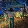 Northeast San Fernando Valley Turns on the Lights for the Holiday Season