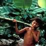 Brazilian Indigenous People