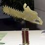 Greenpeace gives Golden Chainsaw to Brazil Tycoon (Reuters)