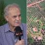 The Race to Save the Amazon: Top Brazilian Scientist Says Rainforest Is at “Tipping Point”