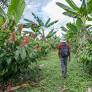 Innovation Driven by Needs: Visions of the Amazon Socio-Bioeconomy