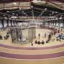 Eleven From Track and Field Selected as USTFCCCA All-Region Honorees