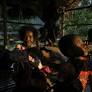 Indigenous forest peoples can finally control nature finance