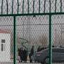 Uyghur Rights Groups Support Request to Debate China's Xinjiang Record