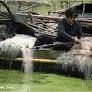 In China, a Lake’s Champion Imperils Himself (Published 2007)