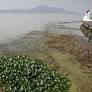 Long struggle for a cleaner Lake Tai
