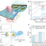 Physics-informed deep learning for plasmonic sensing of nanoscale protein dynamics in solution