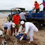 Filthy Mumbai beach rebreeds turtles, thanks to a city lawyer