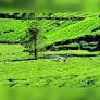 Hind Mazdoor Sabha to pull up pending planation labour issues