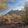 Enviros criticize Rep. Gosar's renewed attempt to undo protections for Ironwood Forest Nat'l Monument