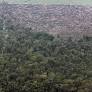 Financial institutions are funding deforestation in the Amazon