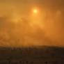 A world on fire: How industrial agriculture and reckless financiers are driving destruction in Brazil