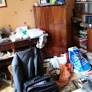 Russian police raid LGBT activist's apartment