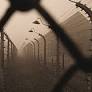27 January - Holocaust Remembrance Day