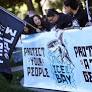 ‘We’re ready’: Community members, NFL players decry potential ICE enforcement during Super Bowl