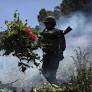 Mexico's war on drugs: what has it achieved and how is the US involved?