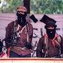 The Zapatistas (EZLN)
